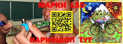 шишки Новокубанск