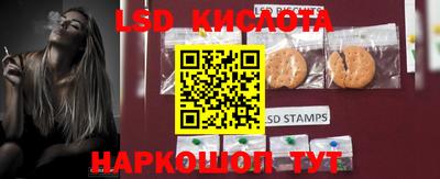 шишки Новокубанск