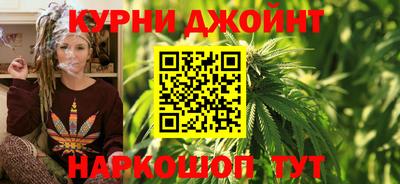 шишки Новокубанск