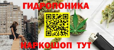 шишки Новокубанск
