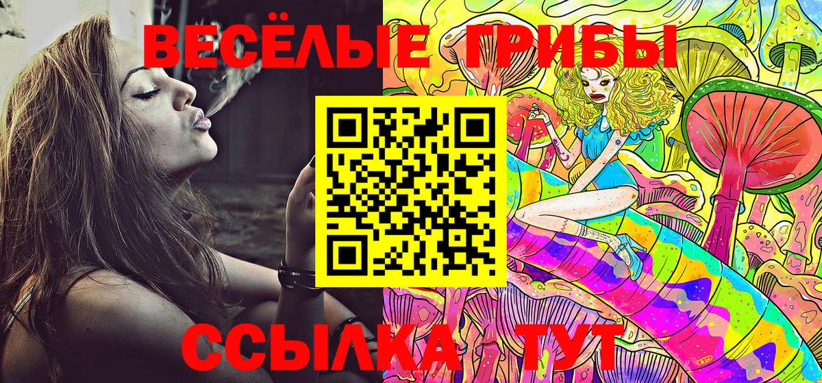 как найти наркотики  Галлюциногенные грибы ЛСД  Галлюциногенные грибы Psilocybine cubensis  Вход с VPN  Сатка 